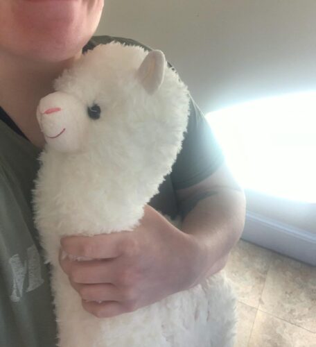 Baby Llama Plush Stuffed Animal Dolls photo review